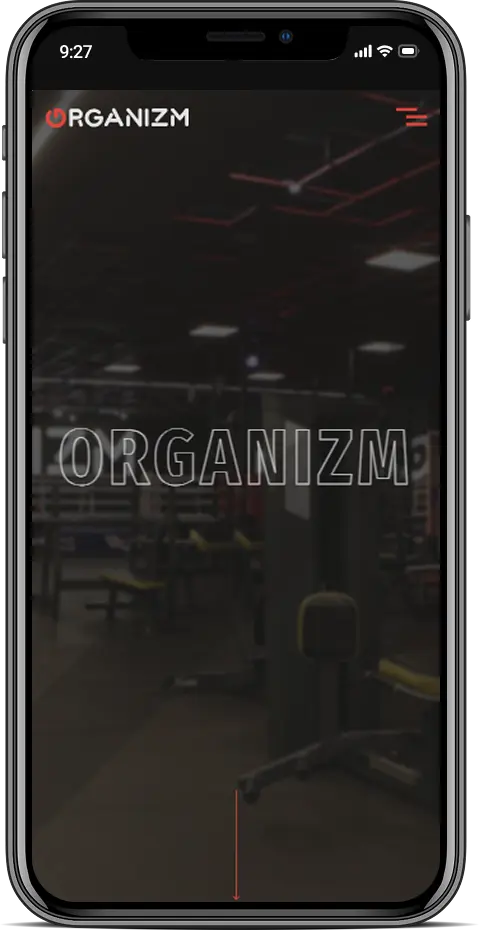 Organizm — мобильная версия 1