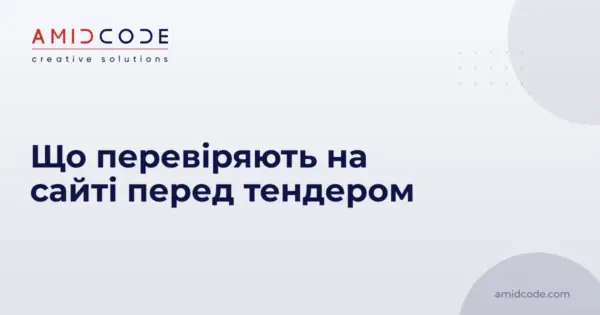 Що перевіряють на сайті перед тендером