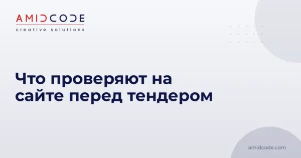 Что проверяют на сайте перед тендером