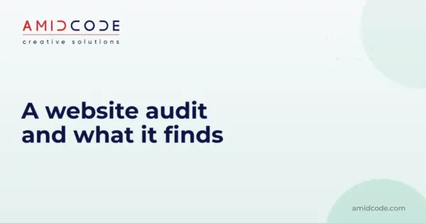 A website audit and what it finds